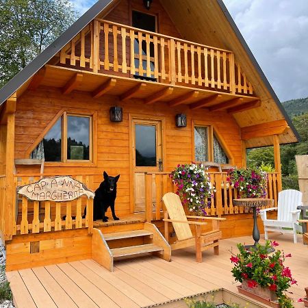 Agri Camp Dolomiti Apartment Belluno Exterior foto