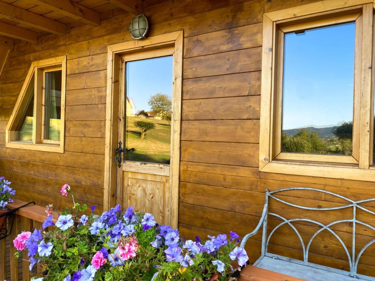 Agri Camp Dolomiti Apartment Belluno Exterior foto