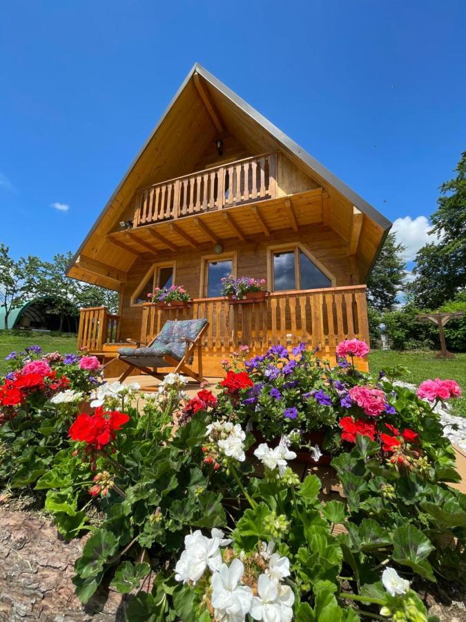 Agri Camp Dolomiti Apartment Belluno Exterior foto