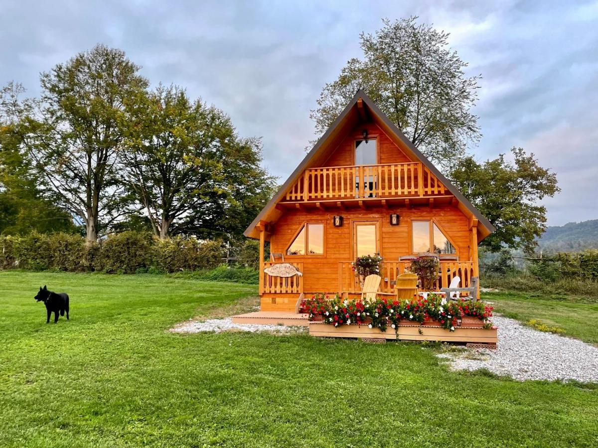 Agri Camp Dolomiti Apartment Belluno Exterior foto
