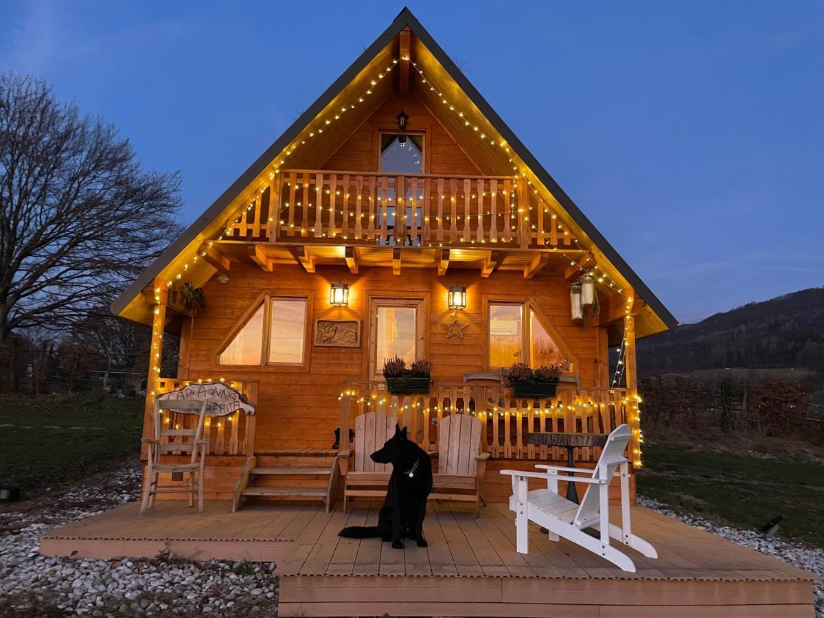 Agri Camp Dolomiti Apartment Belluno Exterior foto