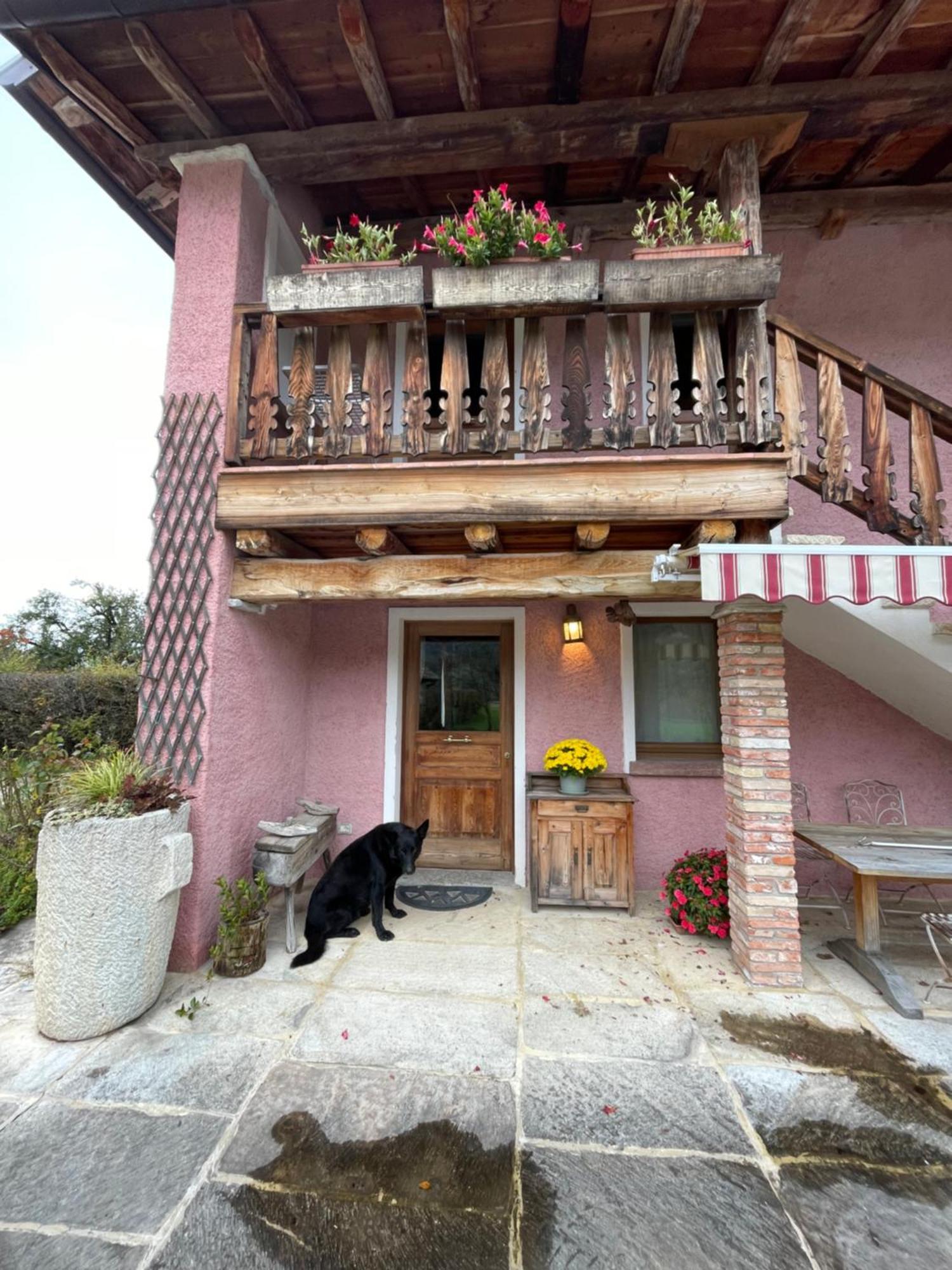 Agri Camp Dolomiti Apartment Belluno Exterior foto